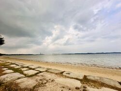 The Shorefront (D17), Apartment #542718661